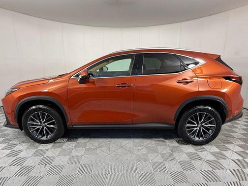 2024 Lexus NX 250 Base