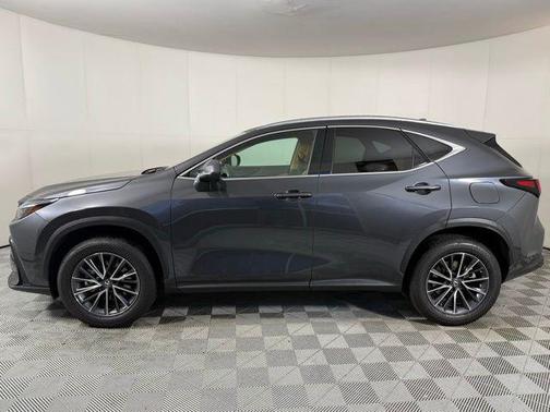 2025 Lexus NX 250 Premium