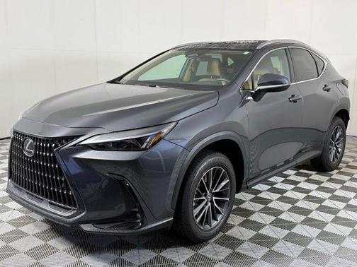 2025 Lexus NX 250 Premium