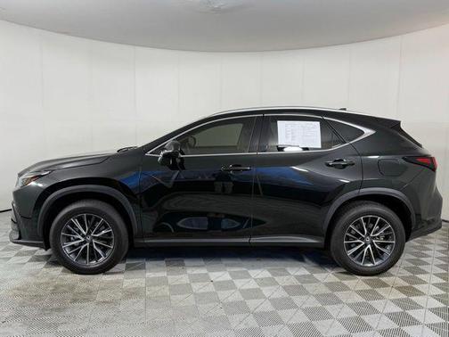2025 Lexus NX 250 Premium