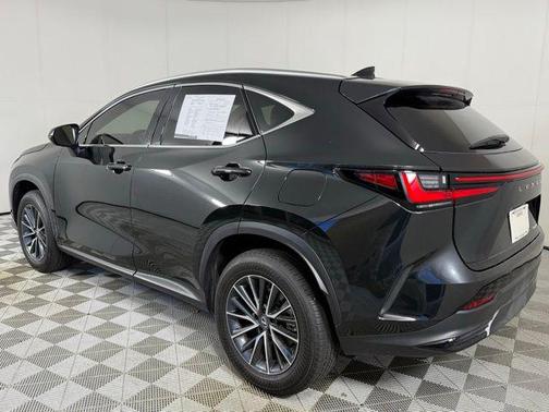 2025 Lexus NX 250 Premium