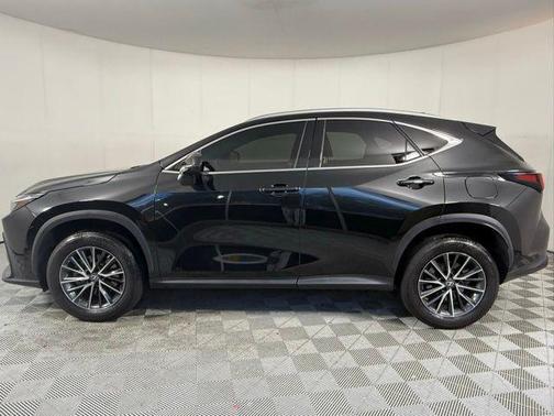 2023 Lexus NX 250 Base