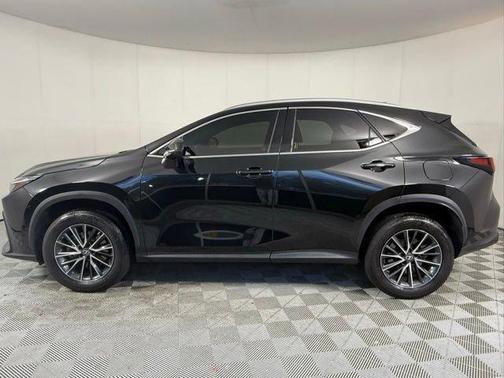 2023 Lexus NX 250 Base