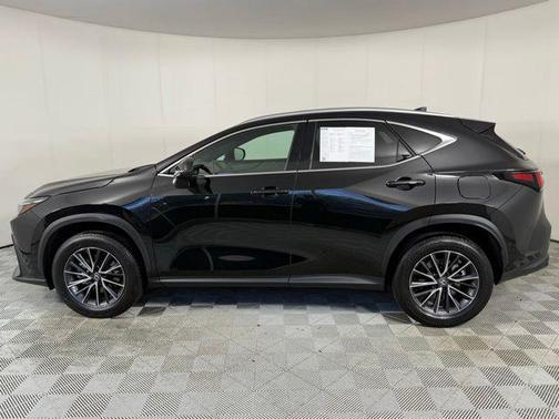 2025 Lexus NX 250 Premium