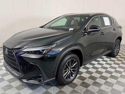 2025 Lexus NX 250 Premium