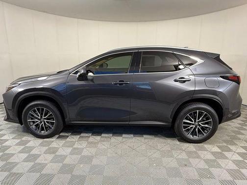 2025 Lexus NX 250 Premium