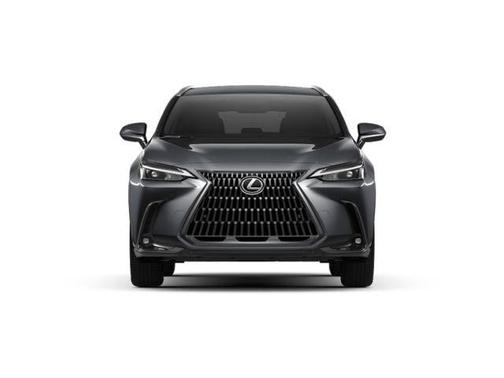 2025 Lexus NX 250 Premium