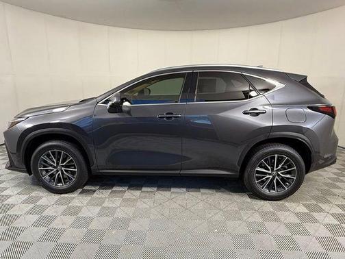 2025 Lexus NX 250 Premium