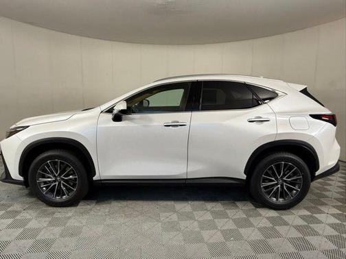 2025 Lexus NX 250 Premium