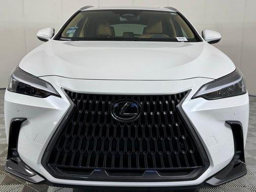 2025 Lexus NX 250 Premium