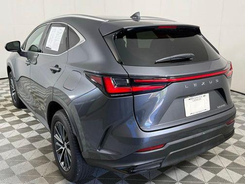 Cloudburst Gray 2024 Lexus NX 250 Premium