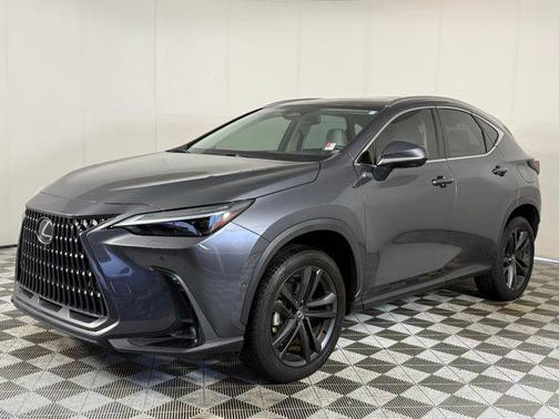 Cloudburst Gray 2025 Lexus NX 450h+ Luxury
