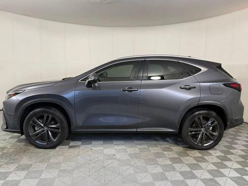 Cloudburst Gray 2025 Lexus NX 450h+ Luxury
