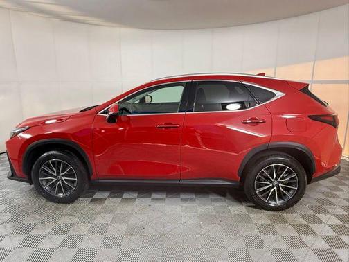 2025 Lexus NX 250 Premium