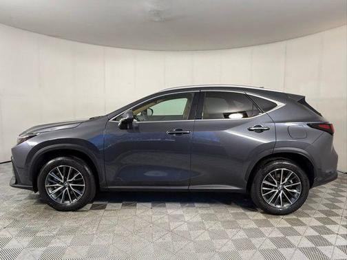 2025 Lexus NX 250 Premium