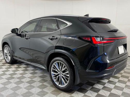 2025 Lexus NX 350 Luxury