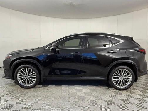 2025 Lexus NX 350 Luxury