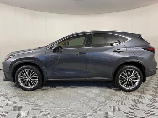 2023 Lexus NX 350 Luxury