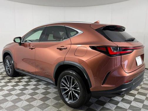 Copper 2025 Lexus NX 250 Premium