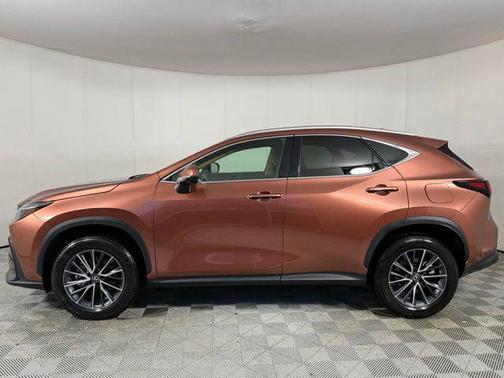 Copper 2025 Lexus NX 250 Premium