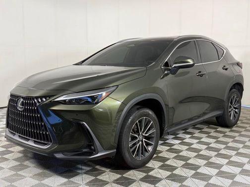Nori Green Pearl 2024 Lexus NX 250 Premium