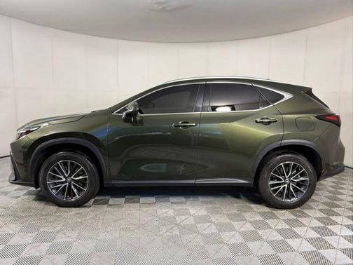 Nori Green Pearl 2024 Lexus NX 250 Premium