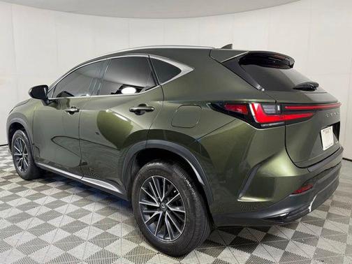 Nori Green Pearl 2024 Lexus NX 250 Premium