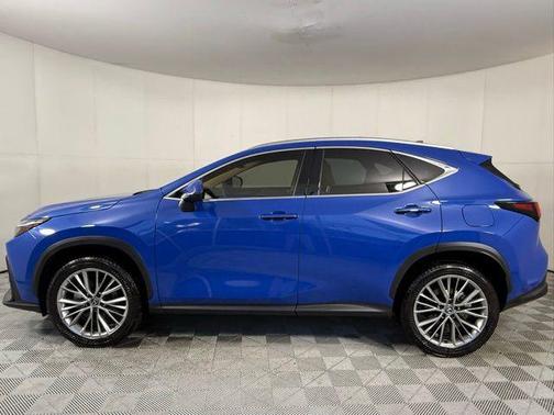 2025 Lexus NX 350h Premium