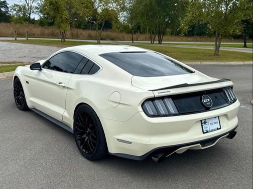 2015 Ford Mustang GT 50 Years Limited Edition