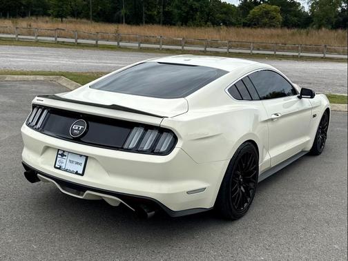 2015 Ford Mustang GT 50 Years Limited Edition