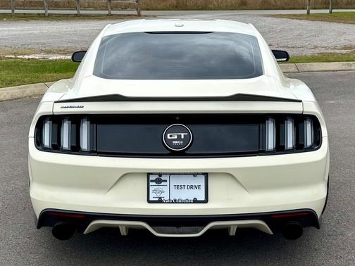 2015 Ford Mustang GT 50 Years Limited Edition