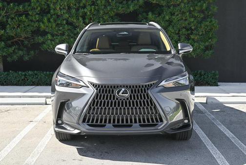 2025 Lexus NX 250 Premium
