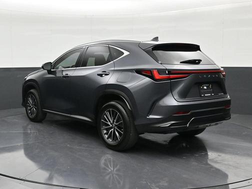 Cloudburst Gray 2023 Lexus NX 250 Base