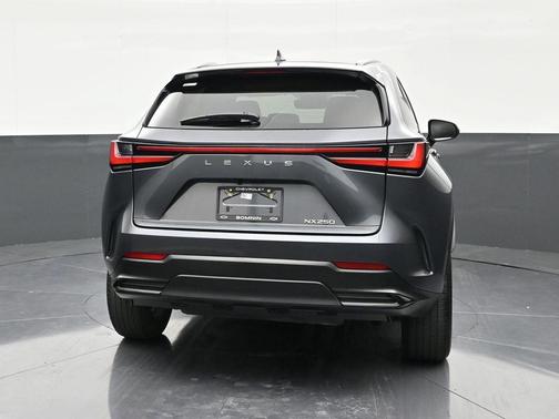 Cloudburst Gray 2023 Lexus NX 250 Base
