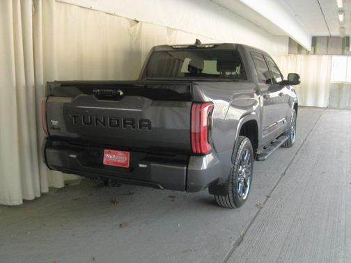 2022 Toyota Tundra Platinum