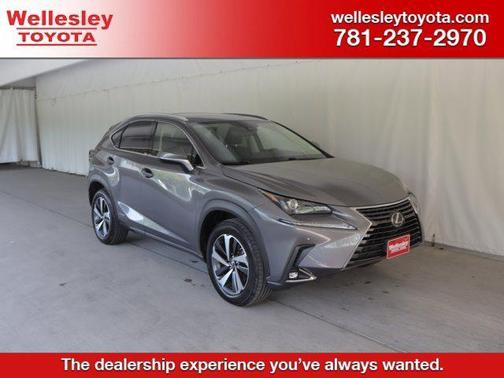 Nebula Gray 2020 Lexus NX 300h Base