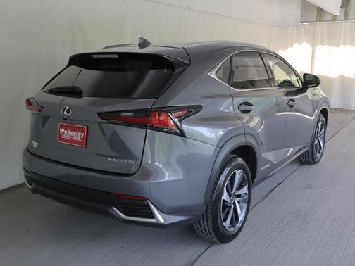 Nebula Gray 2020 Lexus NX 300h Base