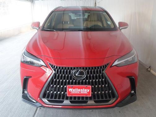 2024 Lexus NX 350 Premium