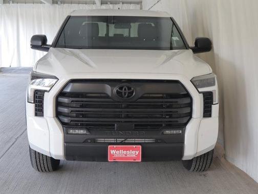 Ice Cap 2025 Toyota Tundra SR5