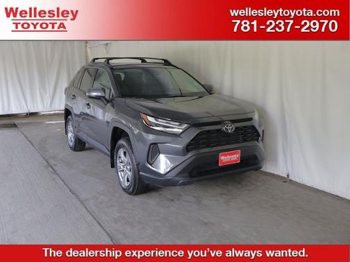 Magnetic Gray Metallic 2025 Toyota RAV4 XLE
