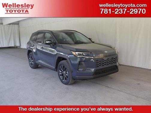 Storm Cloud 2026 Toyota RAV4 XLE Premium