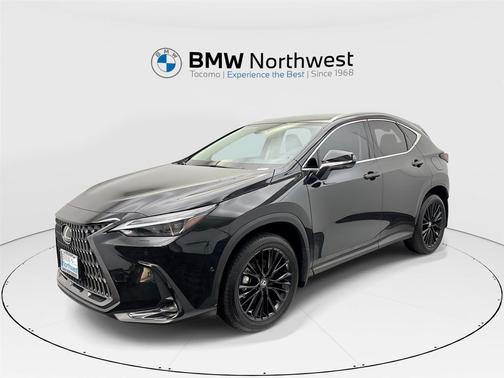 2024 Lexus NX 350h Luxury
