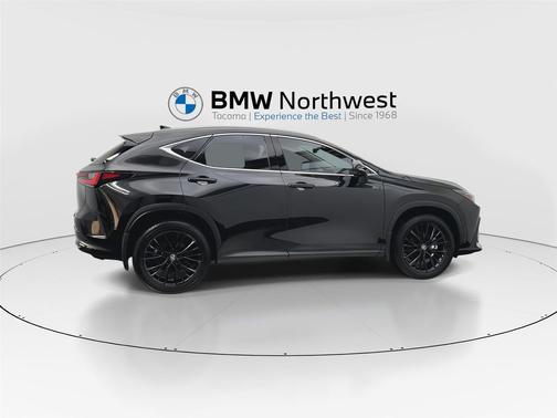 2024 Lexus NX 350h Luxury