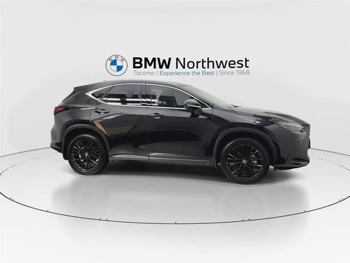 2024 Lexus NX 350h Luxury