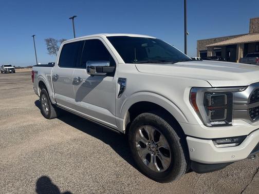 2021 Ford F-150 Platinum