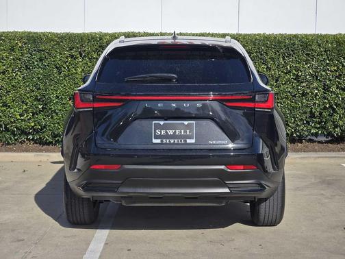2024 Lexus NX 250 Premium