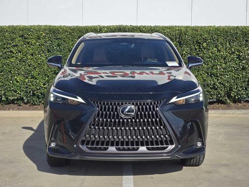 2024 Lexus NX 250 Premium