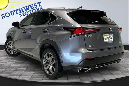 Nebula Gray Pearl 2019 Lexus NX 300 F Sport