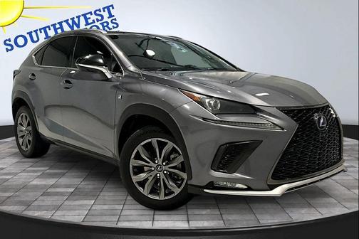 Nebula Gray Pearl 2019 Lexus NX 300 F Sport