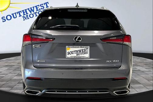 Nebula Gray Pearl 2019 Lexus NX 300 F Sport